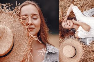 پریست لایت روم Pursuits 