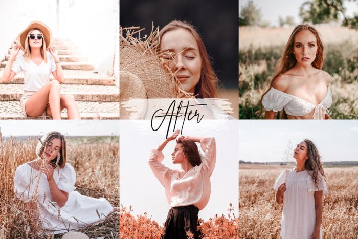 پریست لایت روم Pursuits - تصویر 3