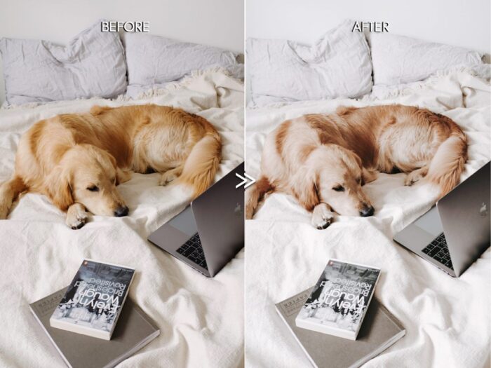 10 عدد افکت پریمیر Clean Minimal - تصویر 3