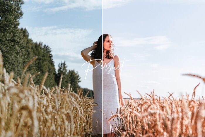 پریست لایت روم Pursuits - تصویر 4