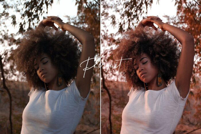 پریست لایت روم Pursuits - تصویر 5