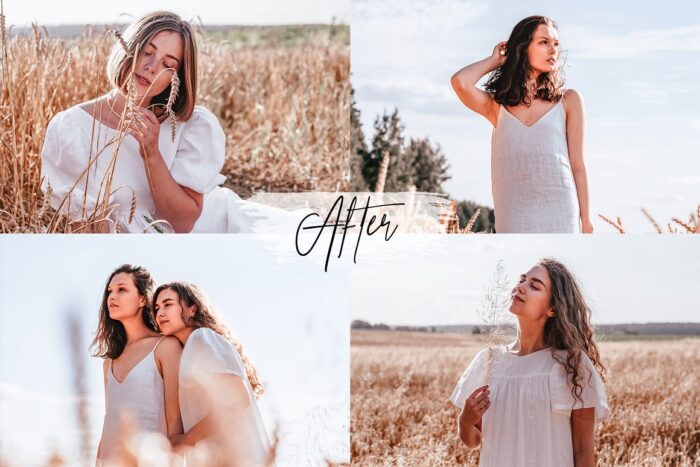 پریست لایت روم Pursuits - تصویر 7