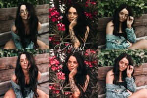 پریست لایت روم Pursuits 