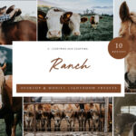 پریست لایت روم Ranch