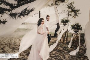 66 پریست لایت روم Black Tea 