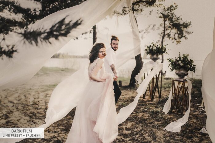 66 پریست لایت روم Black Tea - تصویر 14