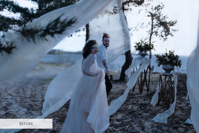 66 پریست لایت روم Black Tea - تصویر 15