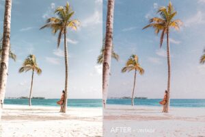 پریست لایت روم Vintage Film