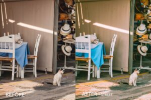 پریست لایت روم Vintage Film