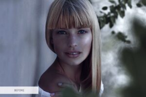 66 پریست لایت روم Black Tea 