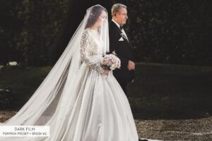 66 پریست لایت روم Black Tea 