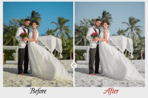 افکت پریمیر Minimalist clean luts