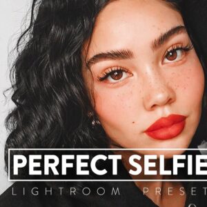 پریست لایت روم Perfect Selfie
