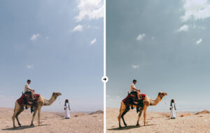 پریست لایت روم Orange