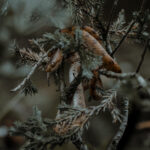 پریست لایت روم Sam Oetiker Cinematic - تصویر 15