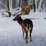 پریست لایت روم Sam Oetiker Cinematic - تصویر 21