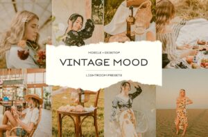 مجموع 4 پکیج پریست لایت روم Vintage Bundle