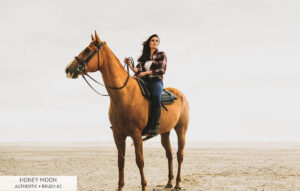 پریست لایت روم Honey Moon