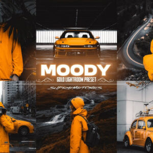 پریست لایت روم Moody gold