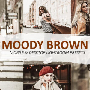 پریست لایت روم Moody Brown