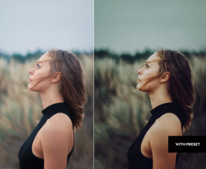 پریست لایت روم ARTA Cinematic