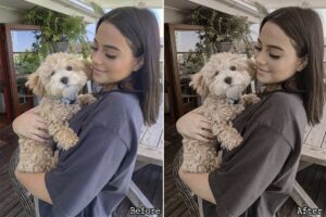 پریست لایت روم Dark Brown