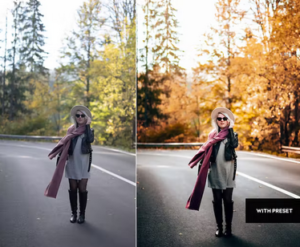 پریست پاییزی لایت روم ARTA Autumn