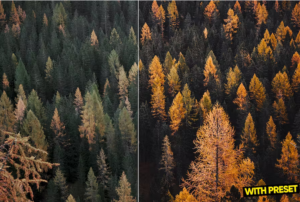 پریست پاییزی لایت روم ARTA Fall