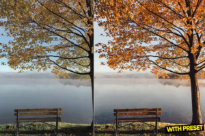 پریست پاییزی لایت روم ARTA Fall