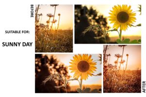 پریست پاییزی لایت روم Alive Autumn