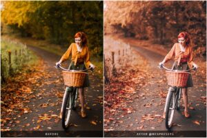 پریست پاییزی لایت روم Autumn Leaves