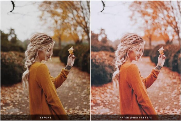 پریست پاییزی لایت روم Autumn Leaves - تصویر 4