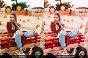 پریست پاییزی لایت روم Autumn Leaves