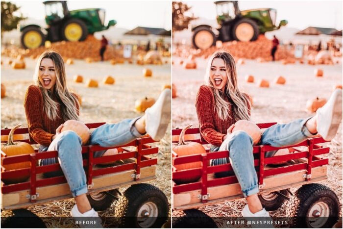 پریست پاییزی لایت روم Autumn Leaves - تصویر 5