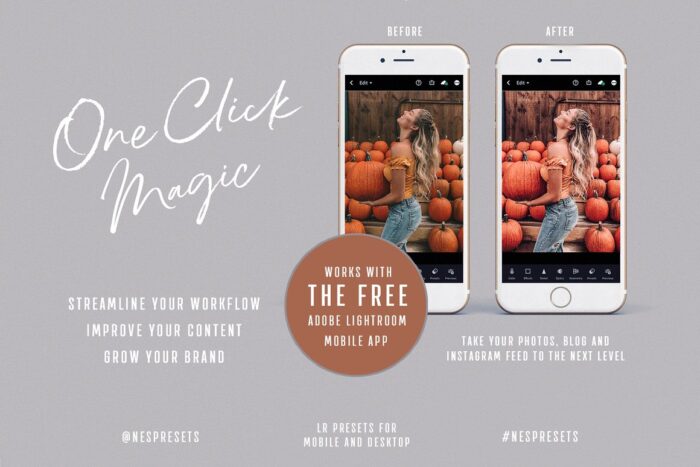 پریست پاییزی لایت روم Autumn Leaves - تصویر 2