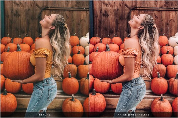 پریست پاییزی لایت روم Autumn Leaves - تصویر 8