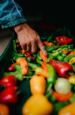 پریست لایت روم Equinox - تصویر 11