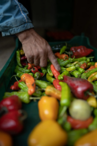 پریست لایت روم Equinox