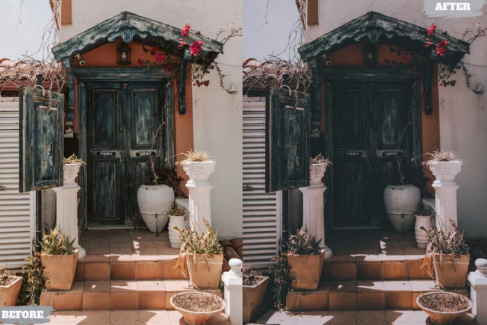 پریست لایت روم Potrait Vsco - تصویر 3