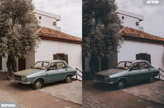 پریست لایت روم Potrait Vsco - تصویر 2