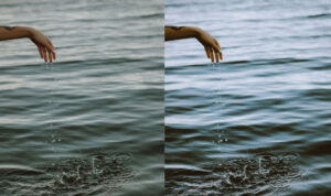 پریست لایت روم Polaroid Look 