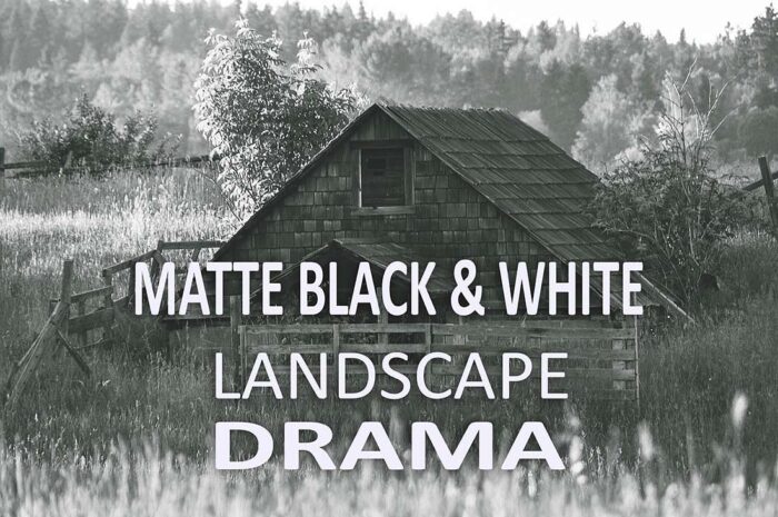 دانلود رایگان باندل 508 عددی پریست لایت روم - تصویر 9