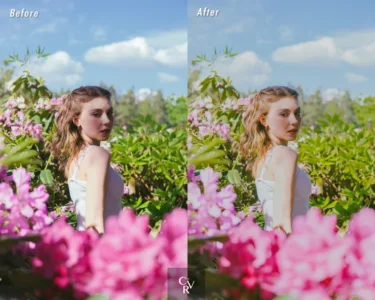 پریست بهاری لایت روم Spring Tones