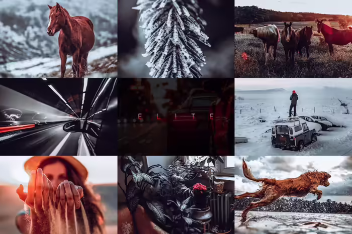 پریست لایت روم Elite - تصویر 2