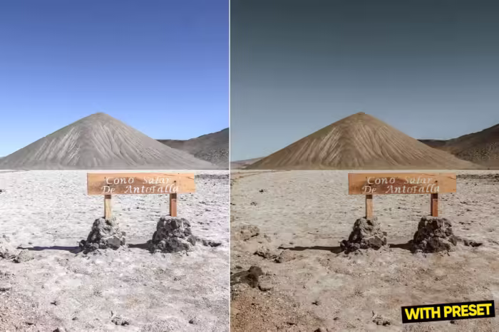 پریست لایت روم بلاگری Earthy