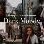 پریست دارک مودی لایت روم Dark Moody